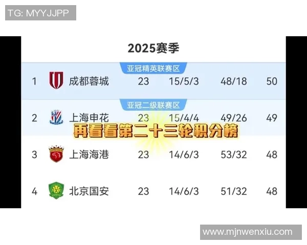 2025年中国足球本土球星实力排名榜揭晓 这些球员引领国内足坛风潮