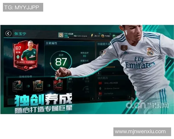 从球星卡到足球赛场探索收藏与竞技交织的激情世界